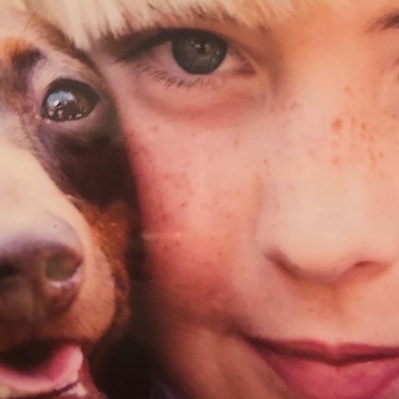 Meet your Posher, Victoria - Picture 17 of 17